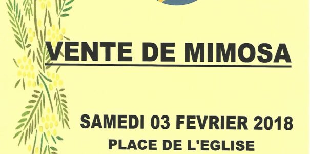 Vente de mimosa à Saint-Martin-la-Plaine