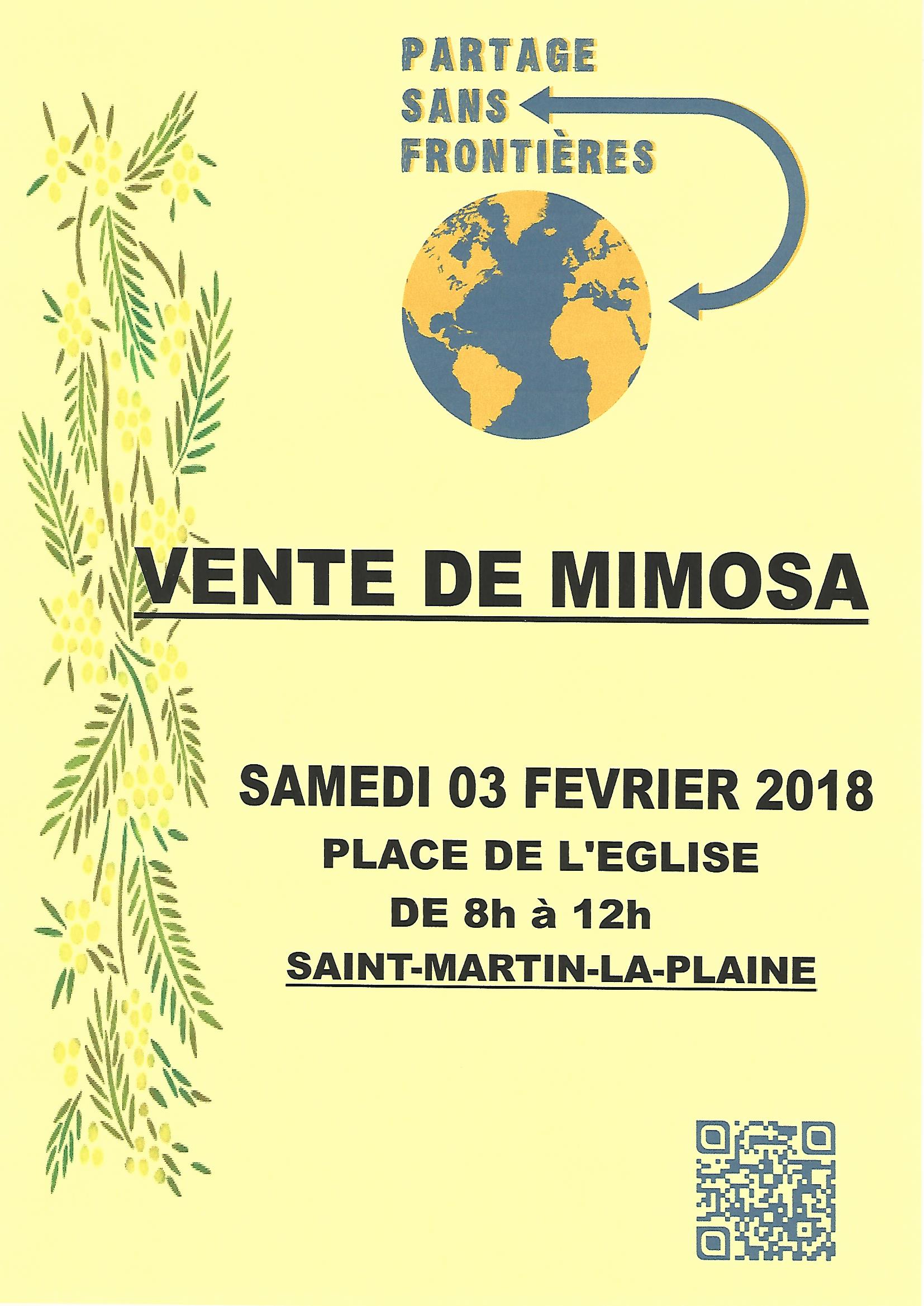 Vente de mimosa à Saint-Martin-la-Plaine