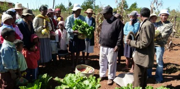 Rapport des enfants de Madagascar sur le projet de Mahaiza