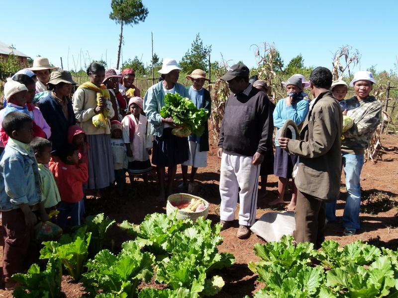 Rapport des enfants de Madagascar sur le projet de Mahaiza