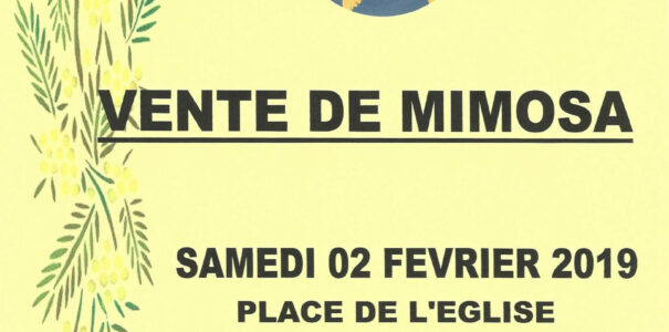 Vente de mimosa à Saint-Martin-la-Plaine