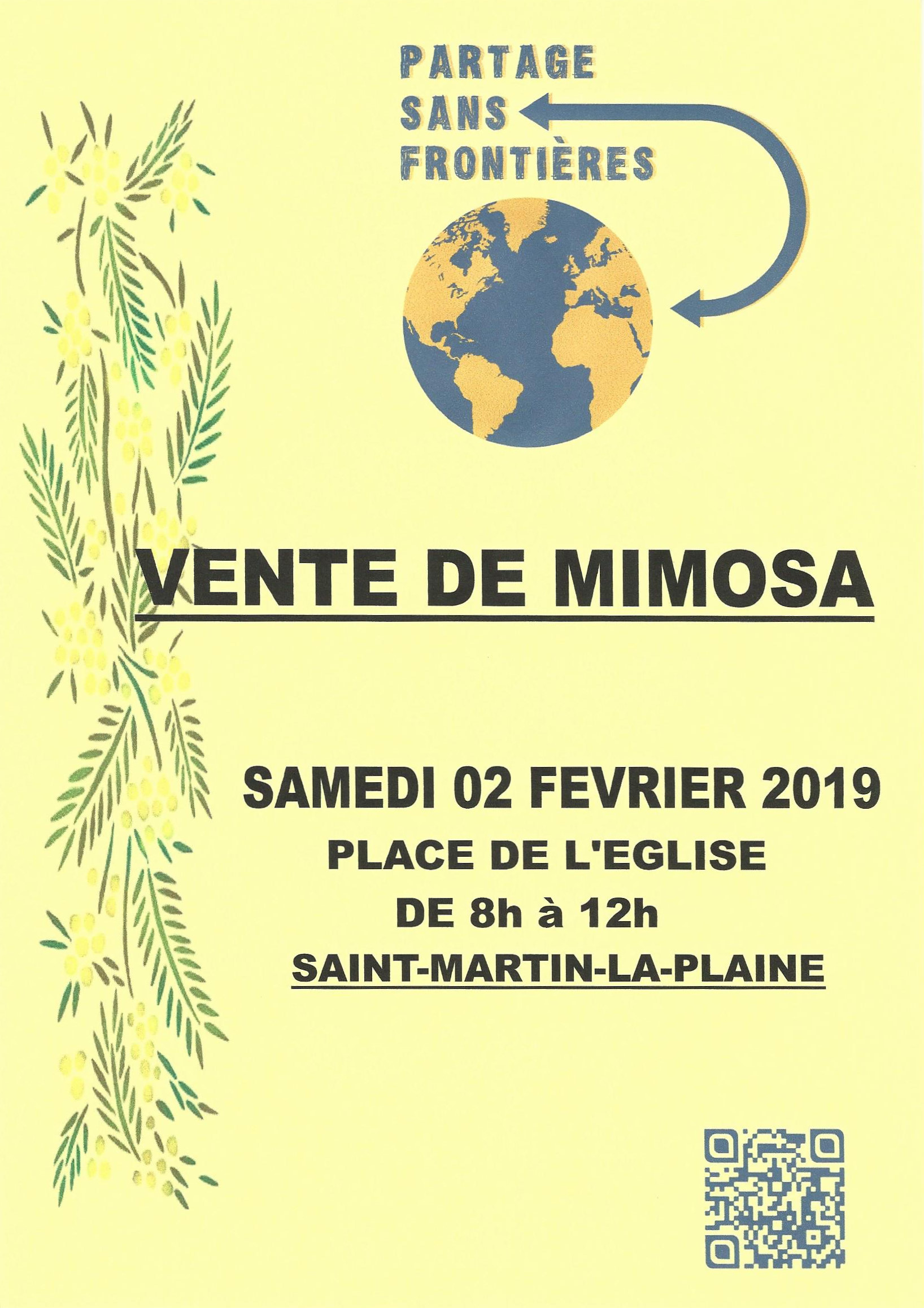 Vente de mimosa à Saint-Martin-la-Plaine