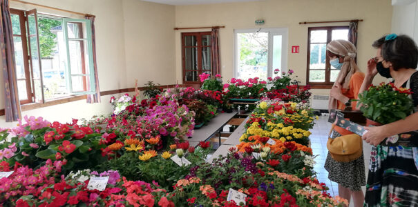 Les photographies du marché de printemps 2021