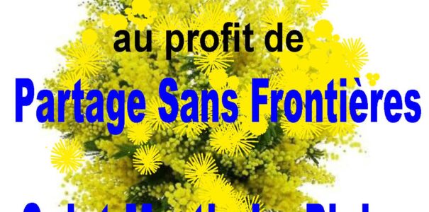 Vente de mimosa à Saint-Martin-la-Plaine et à Mornant