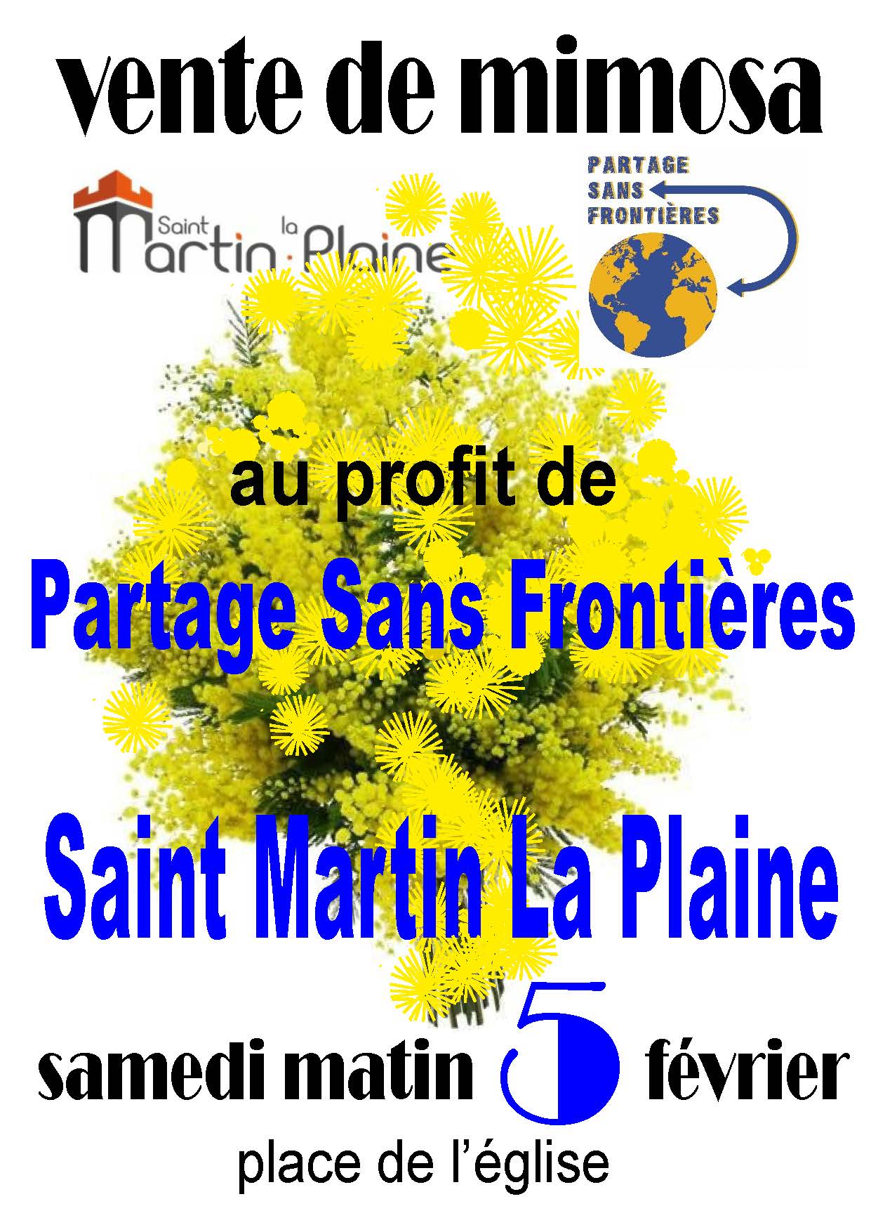 Vente de mimosa à Saint-Martin-la-Plaine et à Mornant