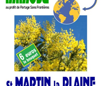 Le mimosa est de retour à Saint-Martin-la-Plaine